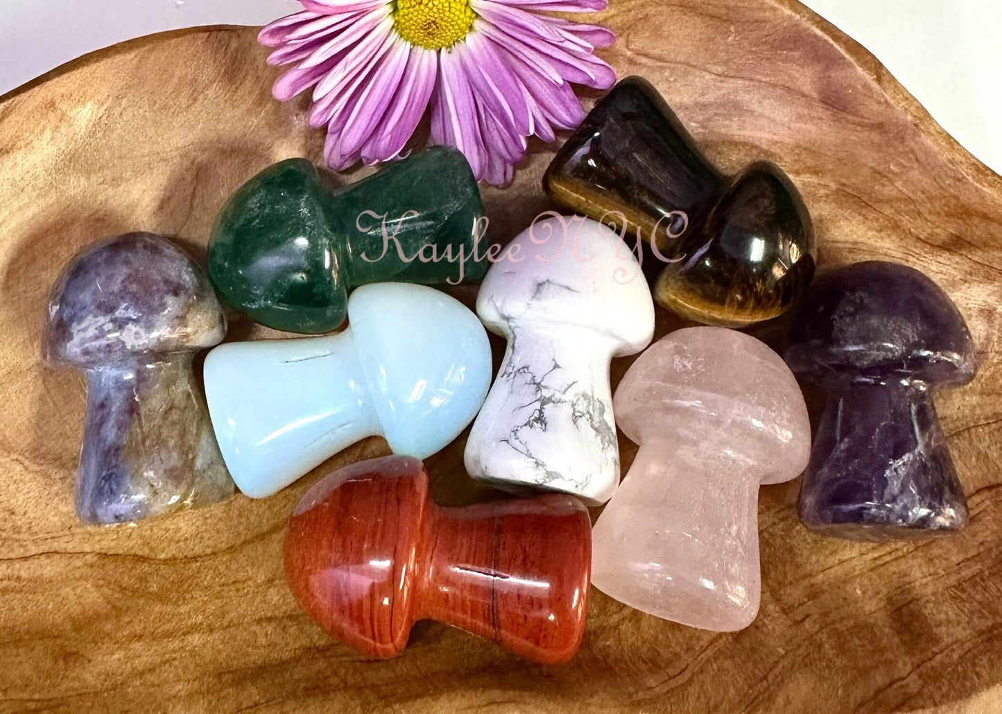 Wholesale Lot 8 PCs Natural mix Crystal Mushroom Healing Energy