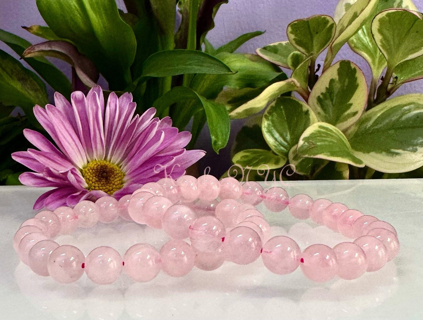 Wholesale 6 Pcs Natural Rose Quartz 8mm 7.5” Crystal Healing Stretch Bracelet