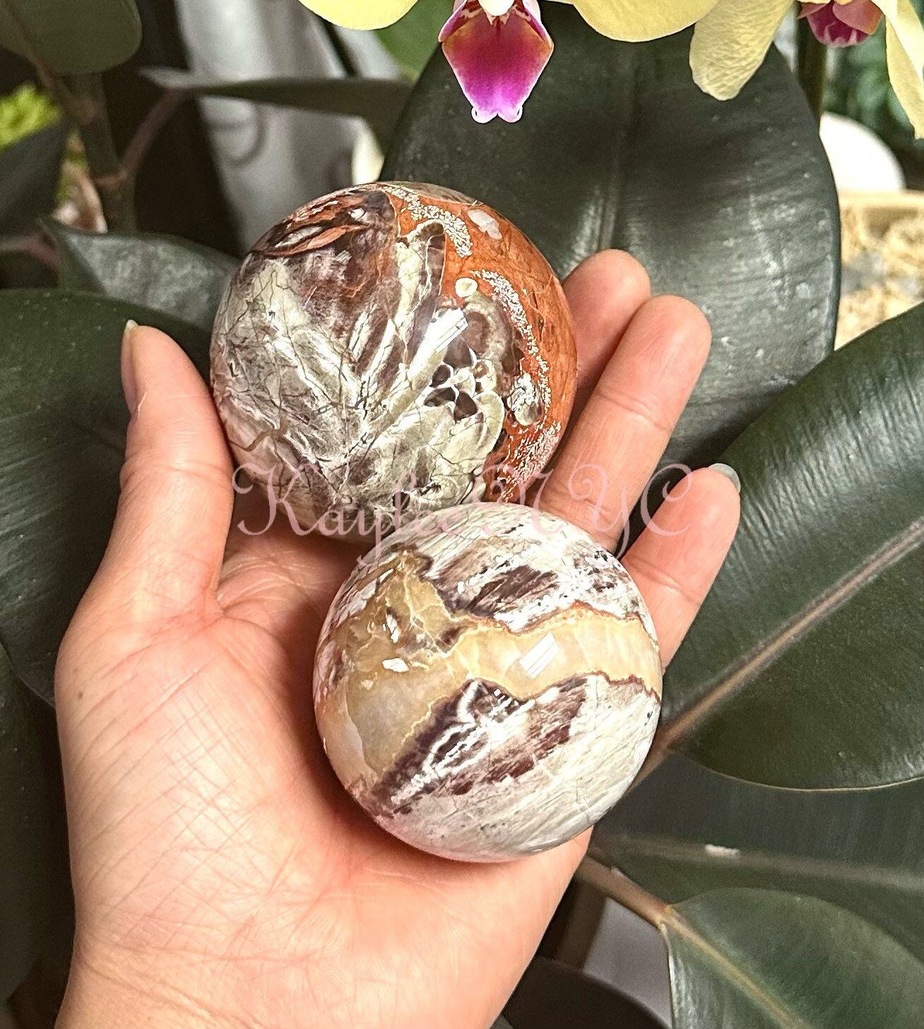 Wholesale Lot 4 to 5 Pcs Natural Money Agate Sphere Crystal Ball 2.8 to 3 lbs Nice Quality Healing