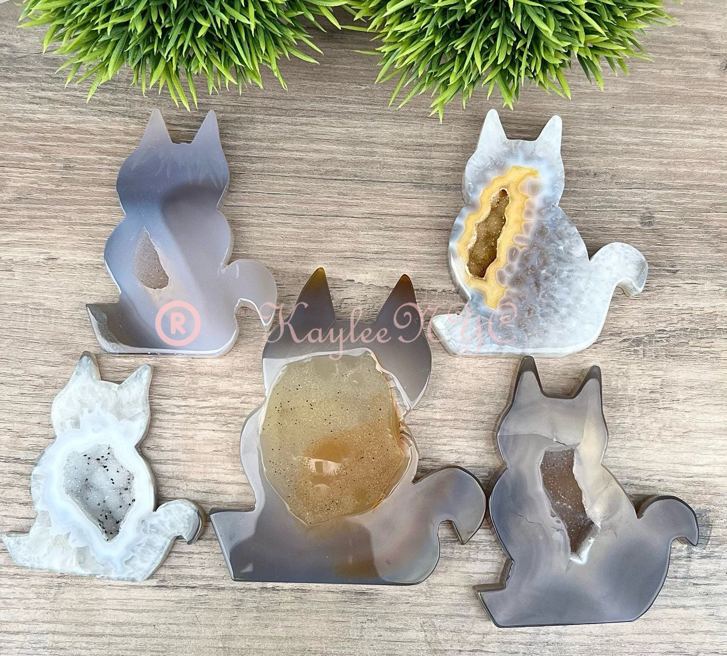 Wholesale Lot 3-5 Pcs Natural Druzy Agate Cats Crystal healing energy