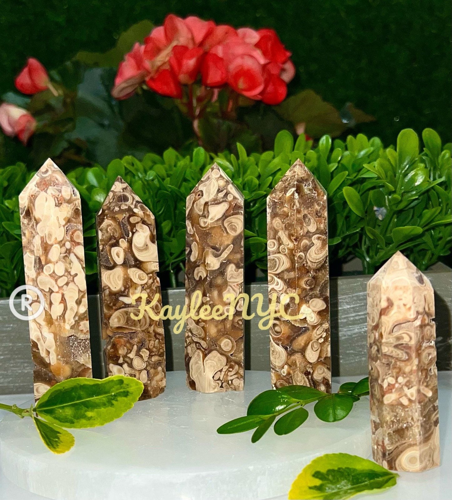 Wholesale Lot 1 Lb Natural Amber Flower Agate Obelisk Point Crystal Energy