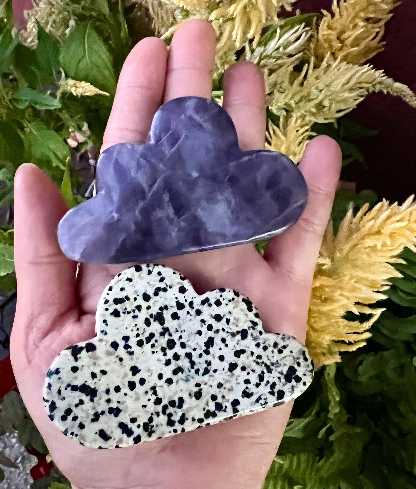 Wholesale lot 6 Pcs Mix Crystal Clouds Tree Agate Chevron Amethyst Larvikite