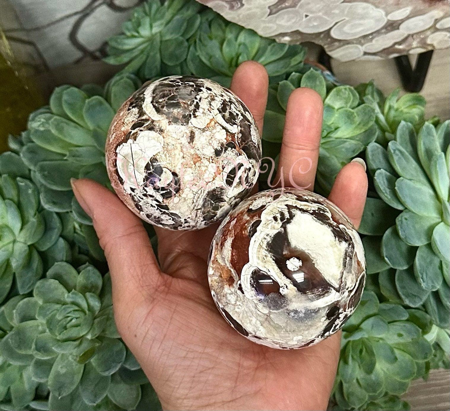 Wholesale Lot 4 to 5 Pcs Natural Money Agate Sphere Crystal Ball 2.8 to 3 lbs Nice Quality Healing