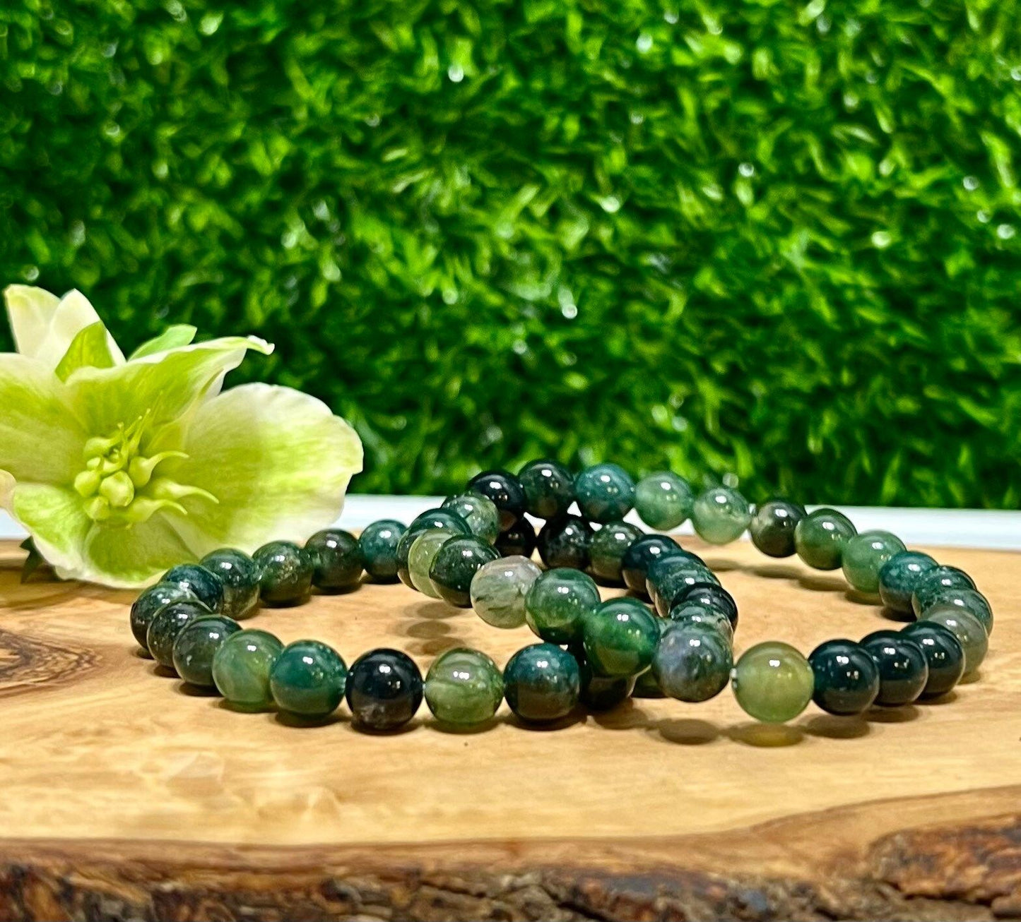 Wholesale Lot 6 Pcs Natural Moss Agate 8mm 7.5” Crystal Healing Stretch Bracelet