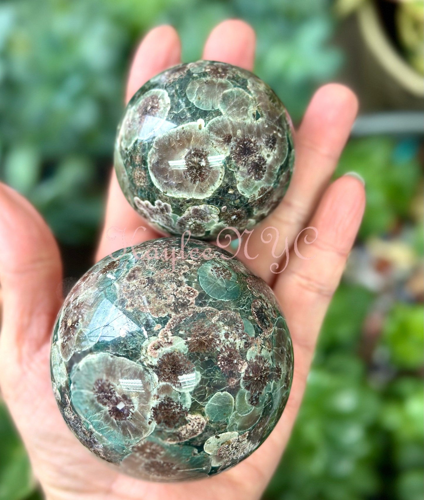 Wholesale Lot 5 Pcs 3.8 to 4 lbs Natural Green Flower Jasper Spheres Crystal Ball nice quality