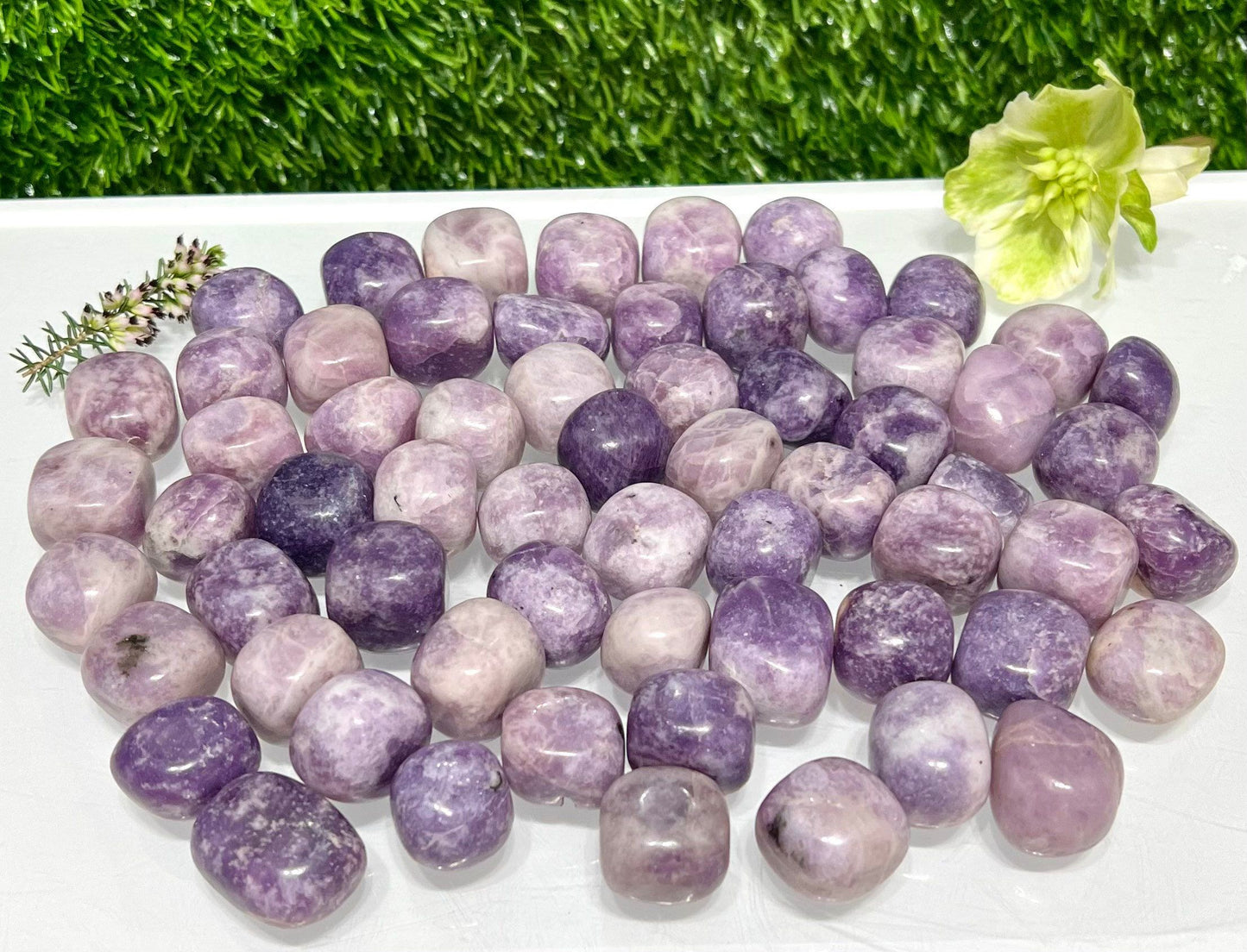 Wholesale Lot 2 Lbs Natural Lepidolite Tumble Healing Energy Nice Quality