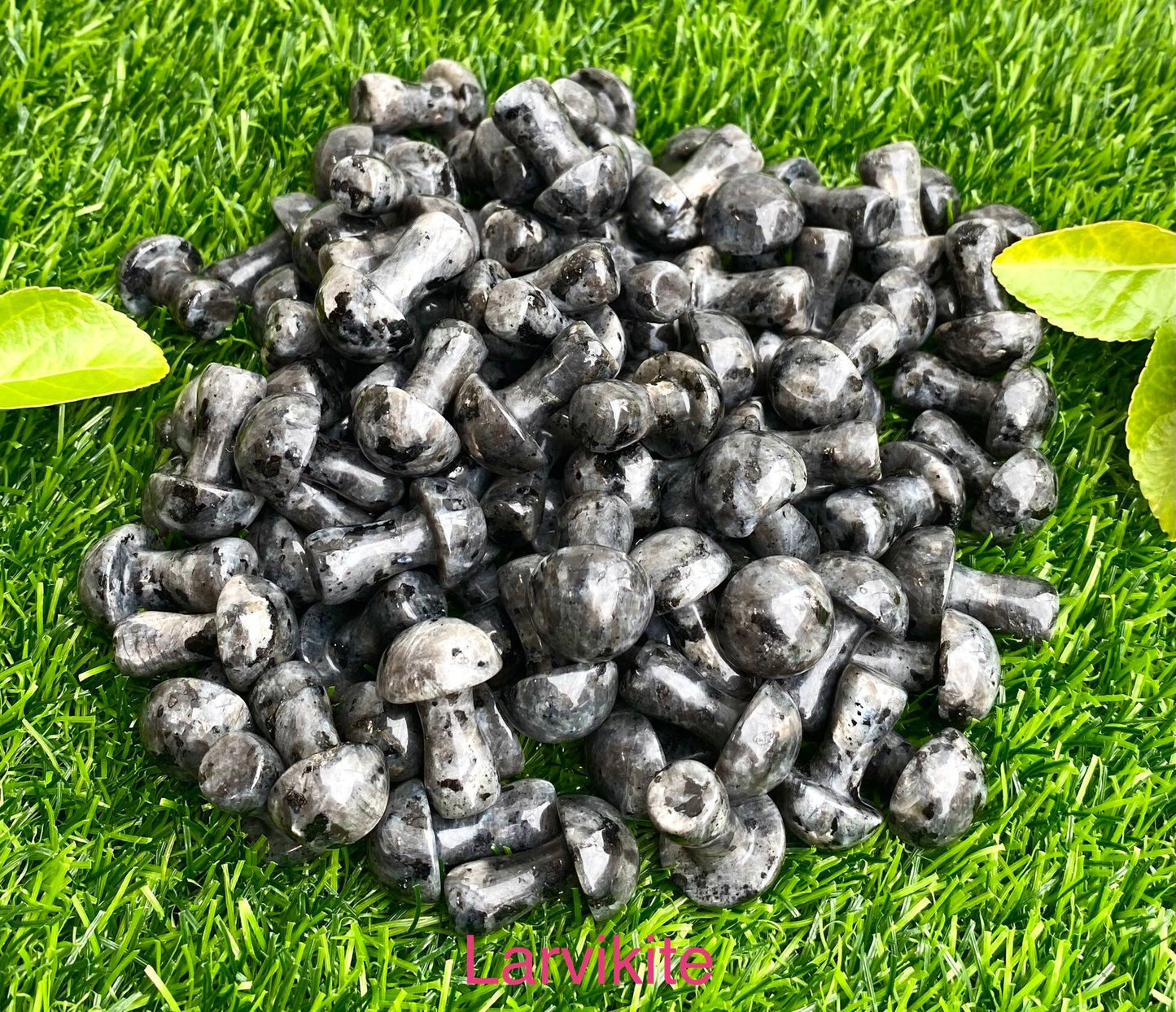 Wholesale Lot 16 PCs Natural Mixed 1” Crystal Mushroom Healing Energy