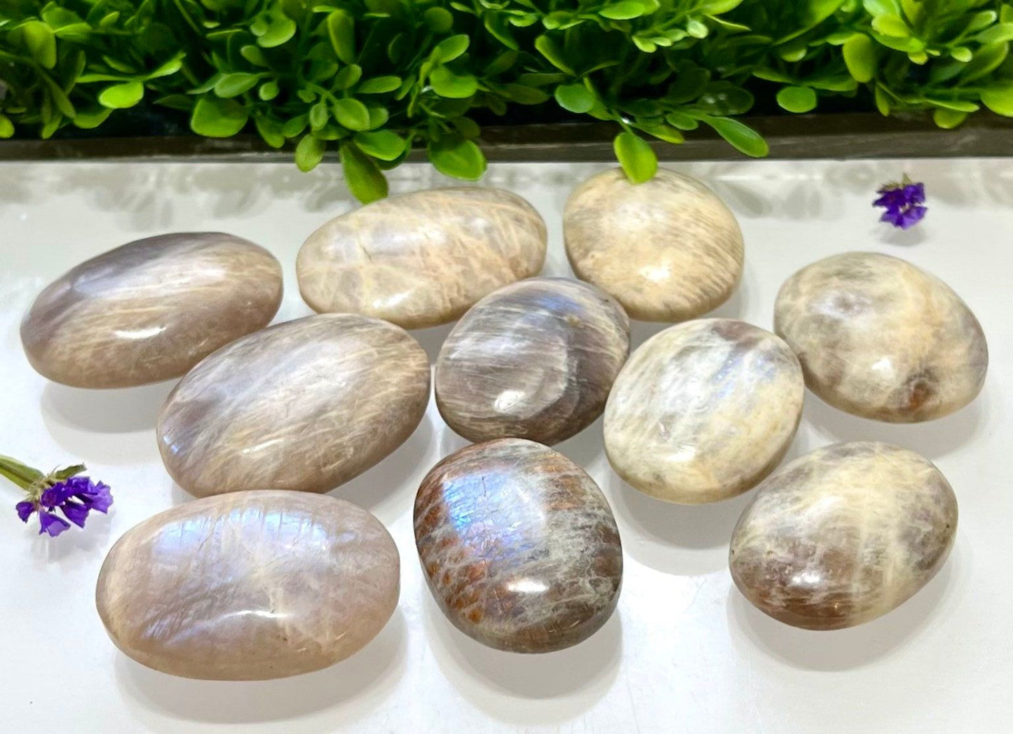 Wholesale Lot 2 Lbs Natural Moonstone Palm Stone Crystal Healing Energy