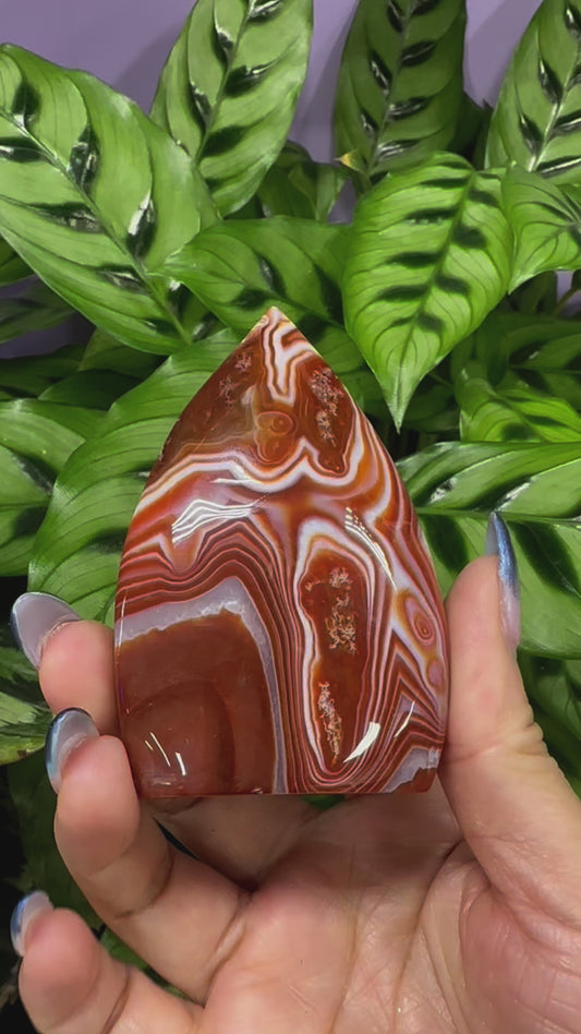 6-7 PCs Natural Carnelian Freeform Crystal bulk wholesale