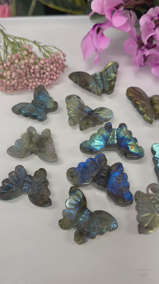 12 PCs Labradorite Butterfly Carving Natural Crystal Healing Energy
